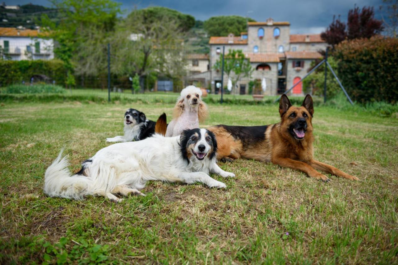 コルトーナ Monastero San Silvestroヴィラ エクステリア 写真